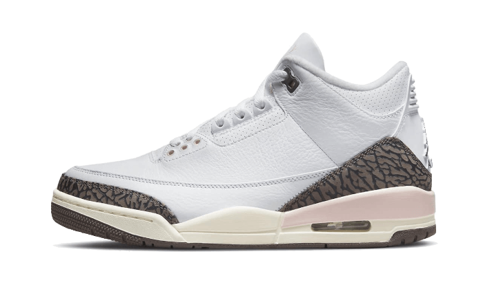 Air Jordan 3 Dark Mocha Neapolitan